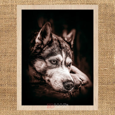 HUSKY pyroprinter and laser-ready files 3DWave.us